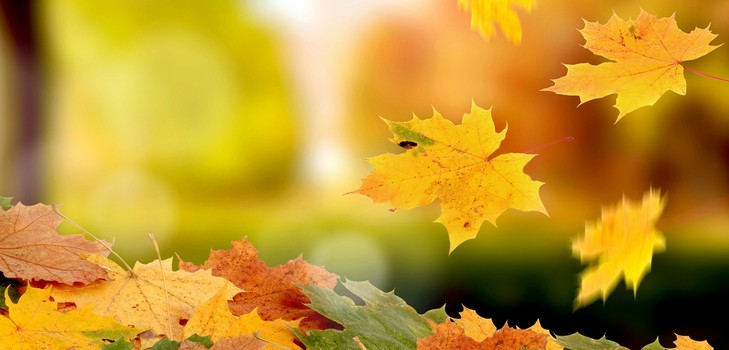Poemas cortos y hermosos sobre el otoño para los niños en el jardín de infantes y la escuela