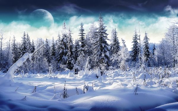 Poemas sobre el invierno para niños: opciones para el jardín de infantes y la escuela. Hermosos versos cortos de poetas clásicos rusos sobre el invierno