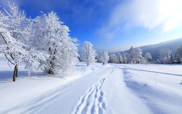 Poemas sobre el invierno para niños: opciones para el jardín de infantes y la escuela. Hermosos versos cortos de poetas clásicos rusos sobre el invierno