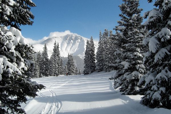 Poemas sobre el invierno para niños: opciones para el jardín de infantes y la escuela. Hermosos versos cortos de poetas clásicos rusos sobre el invierno