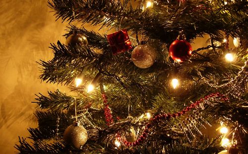 Poema para la oveja de Año Nuevo, deseos