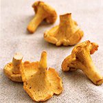 Cocinamos chantarelles para el invierno