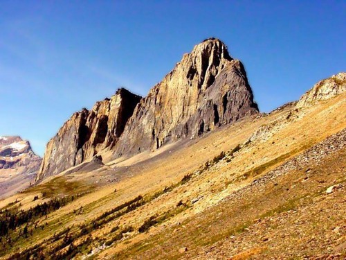 ¿Qué es una naturaleza viva e inanimada?