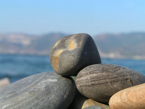 ¿Qué es una naturaleza viva e inanimada?