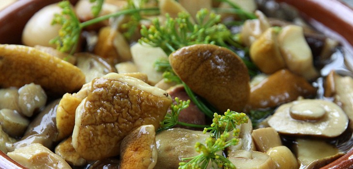 Champiñones blancos: recetas para cocinar deliciosos platos