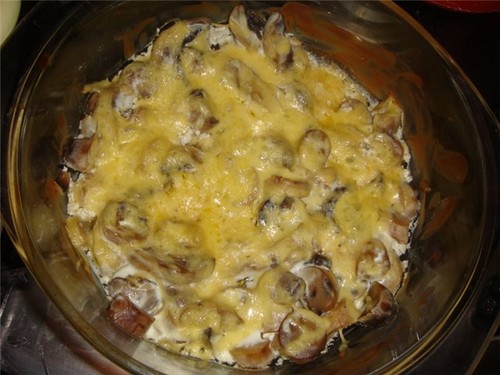 Champiñones blancos: recetas para cocinar deliciosos platos