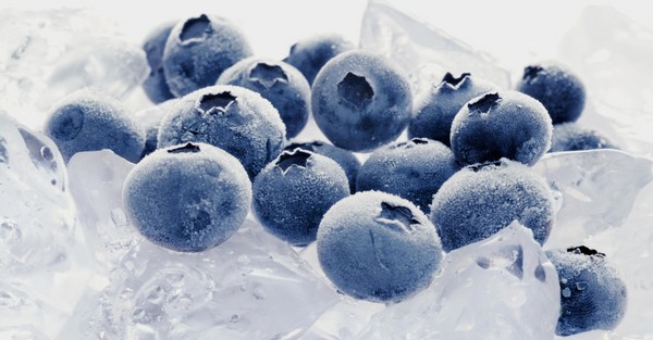 Recetas de arándanos para el invierno