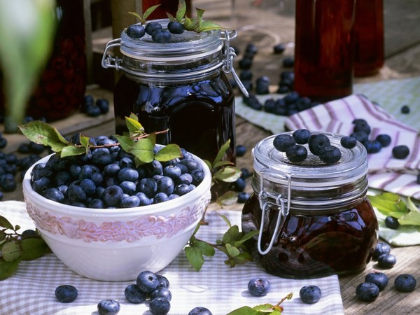 Recetas de arándanos para el invierno Recetas de arándanos para el invierno