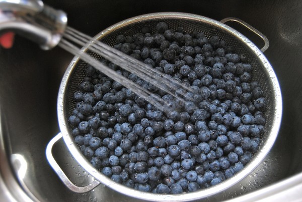Recetas de arándanos para el invierno