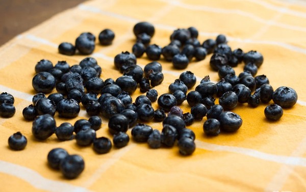 Recetas de arándanos para el invierno