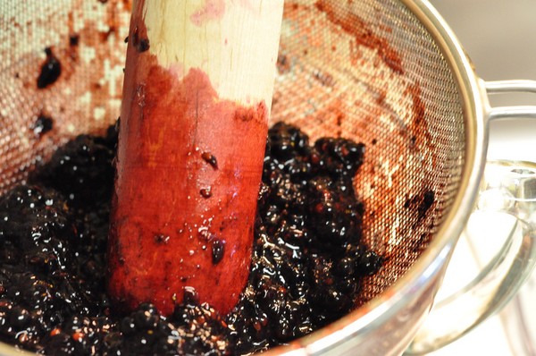Recetas de arándanos para el invierno