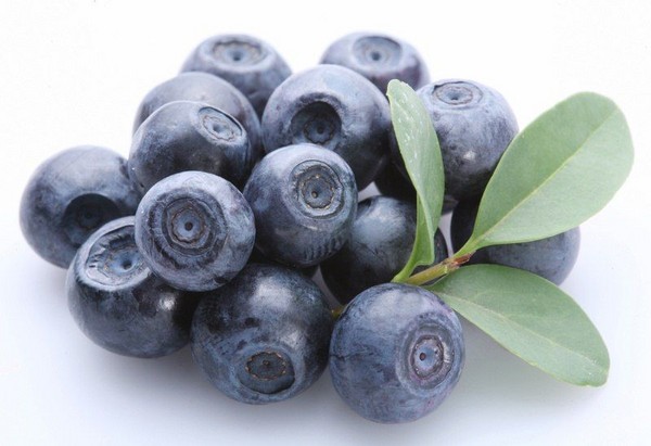 Recetas de arándanos para el invierno