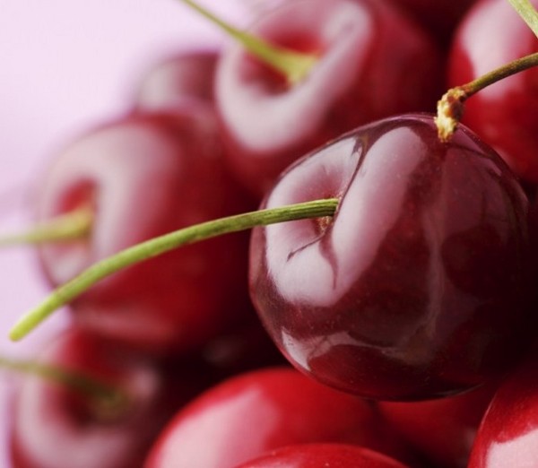 Vino de cereza casero, una receta simple con vodka, sin levadura. Cómo hacer vino de cereza en casa con un guante Vino de cereza casero, una receta simple con vodka, sin levadura. Cómo hacer vino de cereza en casa con un guante