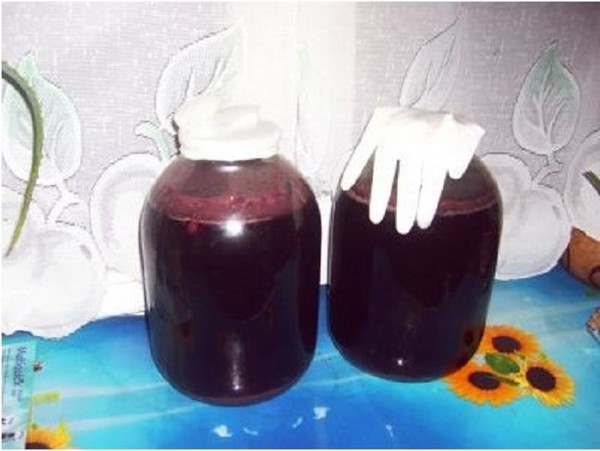 Vino de cereza casero, una receta simple con vodka, sin levadura. Cómo hacer vino de cereza en casa con un guante