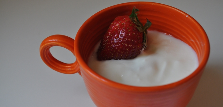 recetas caseras de yogur