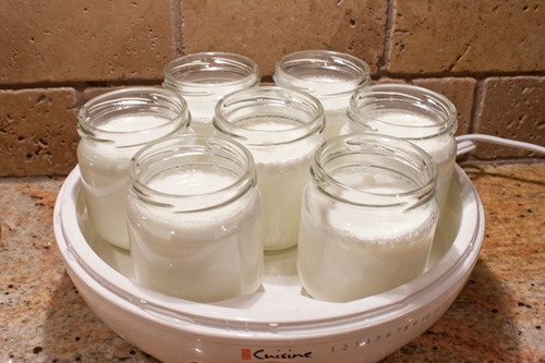 yogur casero en yogurtnitsa