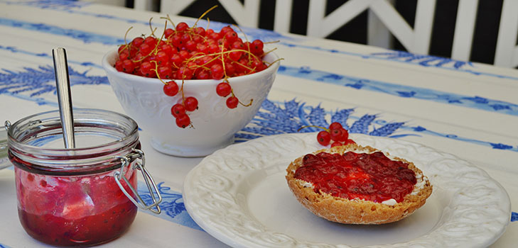 Mermelada de grosella roja - recetas para el invierno