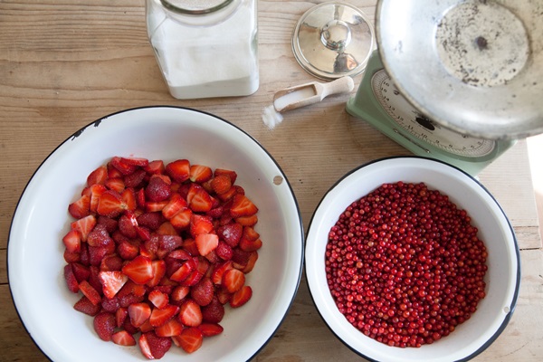 Mermelada de grosella roja - recetas para el invierno