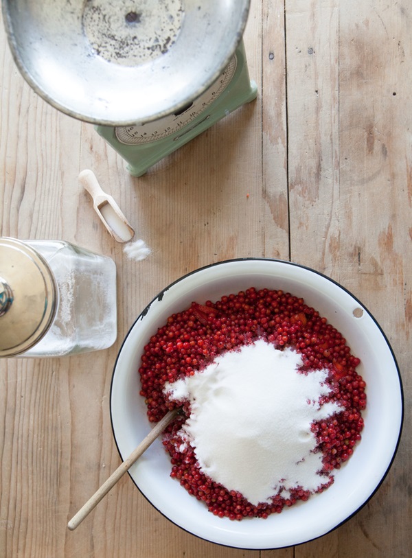 Mermelada de grosella roja - recetas para el invierno