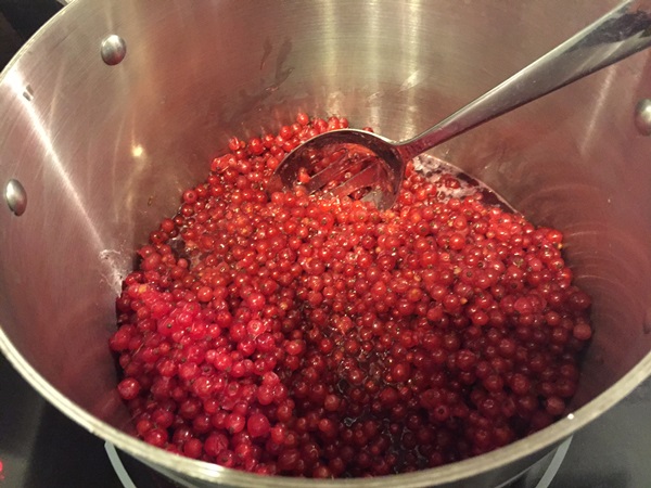 Mermelada de grosella roja - recetas para el invierno