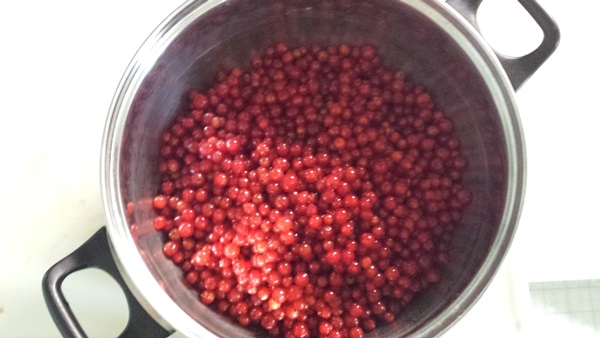 Mermelada de grosella roja - recetas para el invierno