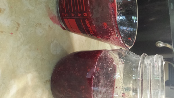 Mermelada de grosella roja - recetas para el invierno