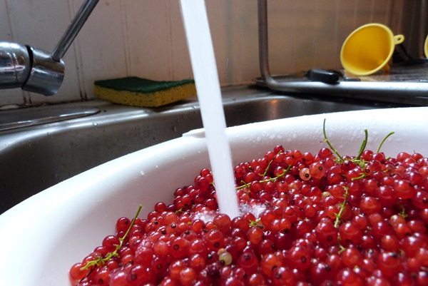 Mermelada de grosella roja - recetas para el invierno