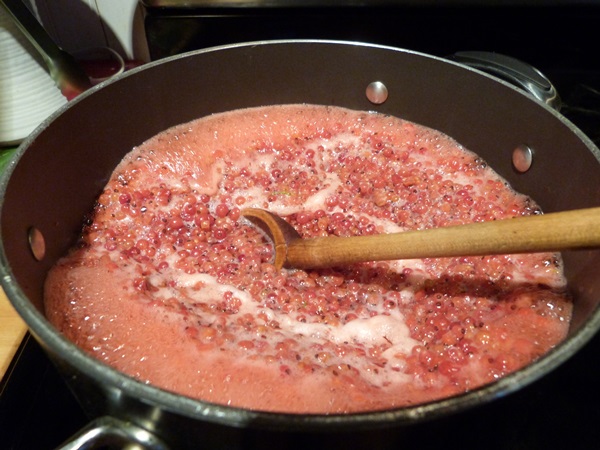 Mermelada de grosella roja - recetas para el invierno