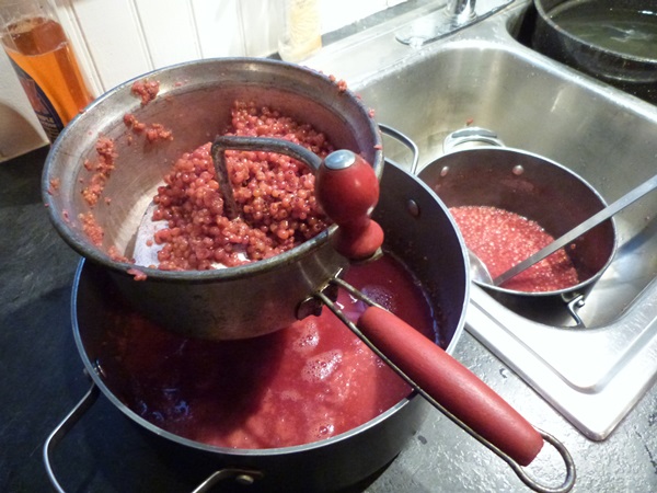 Mermelada de grosella roja - recetas para el invierno