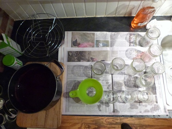 Mermelada de grosella roja - recetas para el invierno