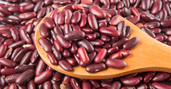 Frijoles para el invierno
