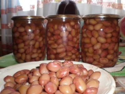 Frijoles para el invierno