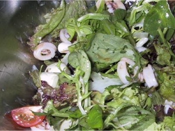 Encantadora ensalada ligera al estilo mediterráneo 