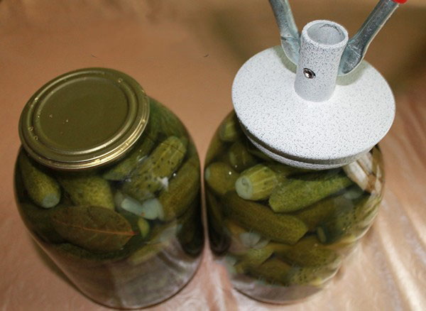 Pepinos crujientes para el invierno - en escabeche, sin vinagre, sin esterilización. Las mejores recetas simples con fotos de pepinos crujientes en latas con vodka