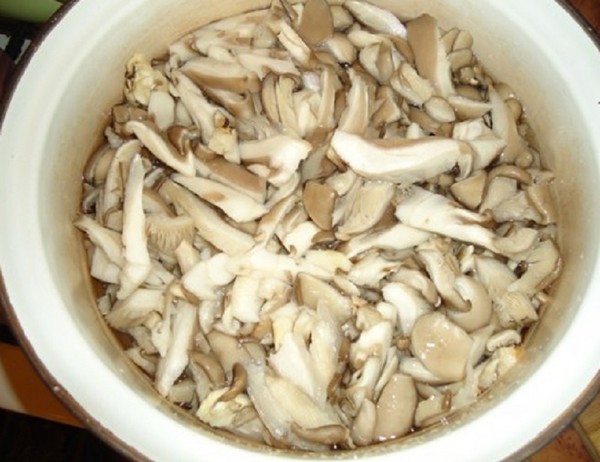 Cómo saltear setas en casa - recetas para el invierno en los bancos
