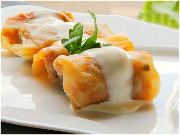 rollos de repollo con crema agria