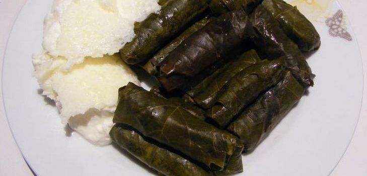 Cómo cocinar dolma en casa Cómo cocinar dolma en casa