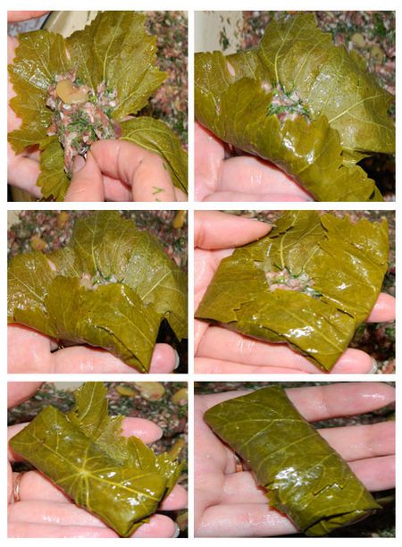 Cómo cocinar dolma en casa Cómo cocinar dolma en casa
