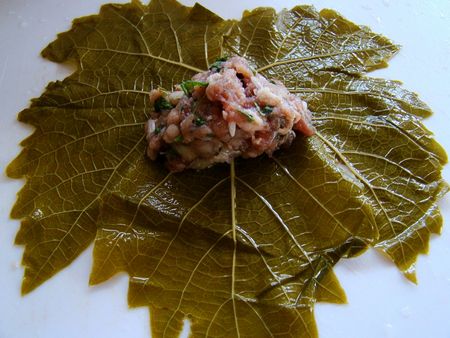 Cómo cocinar dolma en casa Cómo cocinar dolma en casa