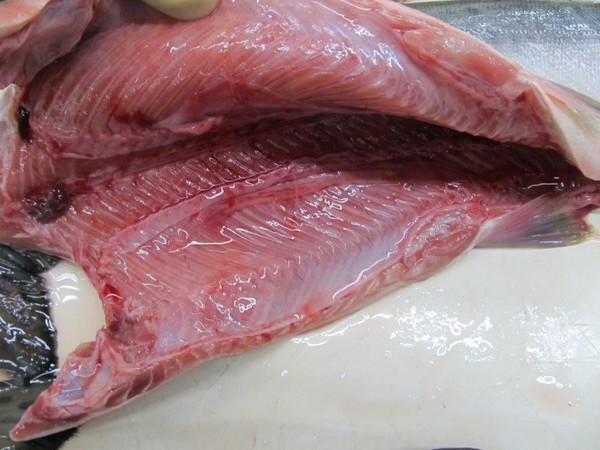 Cómo cocinar salmón rosado? Recetas de salmón rosado jugoso y suave en el horno con crema agria
