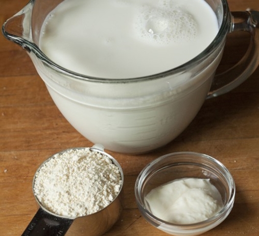 Cómo preparar yogurt con levadura en casa