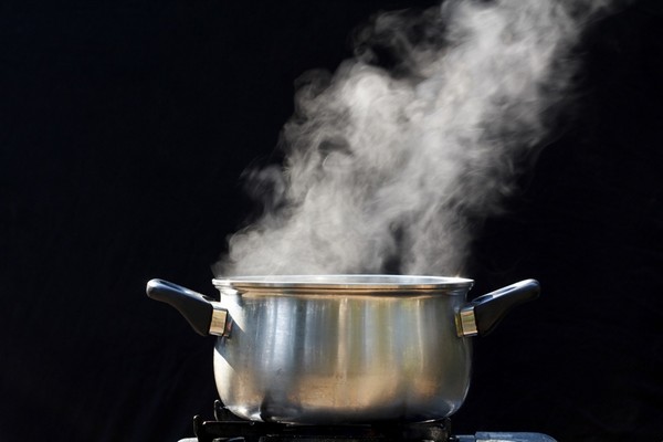 Cómo recolectar, secar y preparar el té Ivan en casa