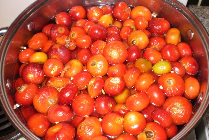 Cómo preparar mermelada de un dogrose para el invierno: la receta para un refrigerio de cinco minutos