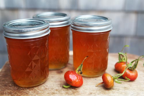 Cómo preparar mermelada de un dogrose para el invierno: la receta para un refrigerio de cinco minutos