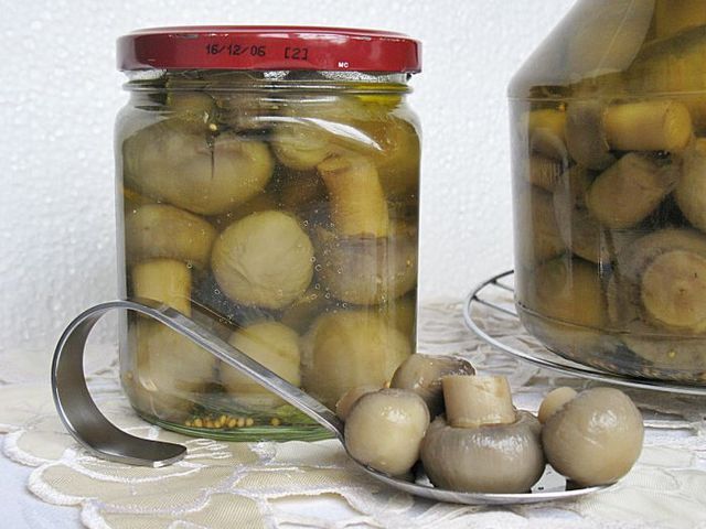 Champiñones marinados para el invierno, receta clásica Champiñones marinados para el invierno, receta clásica