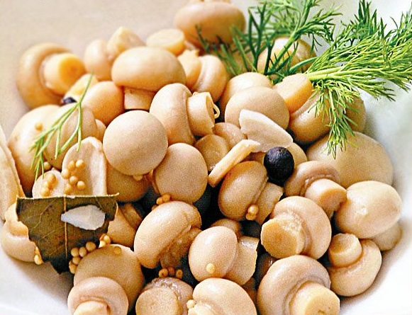 Champiñones enlatados para el invierno, deliciosa receta Champiñones enlatados para el invierno, deliciosa receta