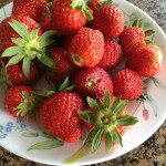 Cómo cerrar los espacios en blanco de las fresas para el invierno - recetas de fotos