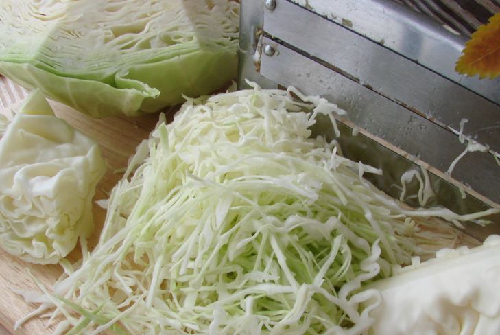 Salting col para el invierno