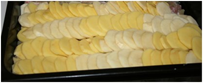 todas las capas son borradas con mayonesa un plato engrasado con mayonesa