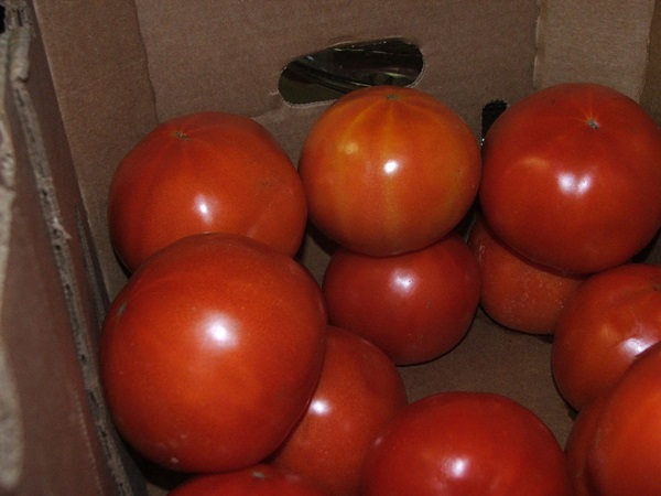 Salsa de tomate de manos propias del tomate: recetas paso a paso para cosechar durante el invierno